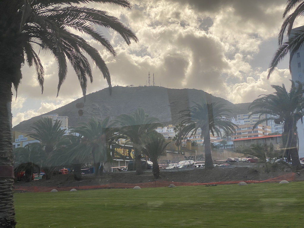 Palm trees at the Parque de San José park and the hill with the Mirador del Lasso viewing point, viewed from the bus to Maspalomas on the GC-1 road