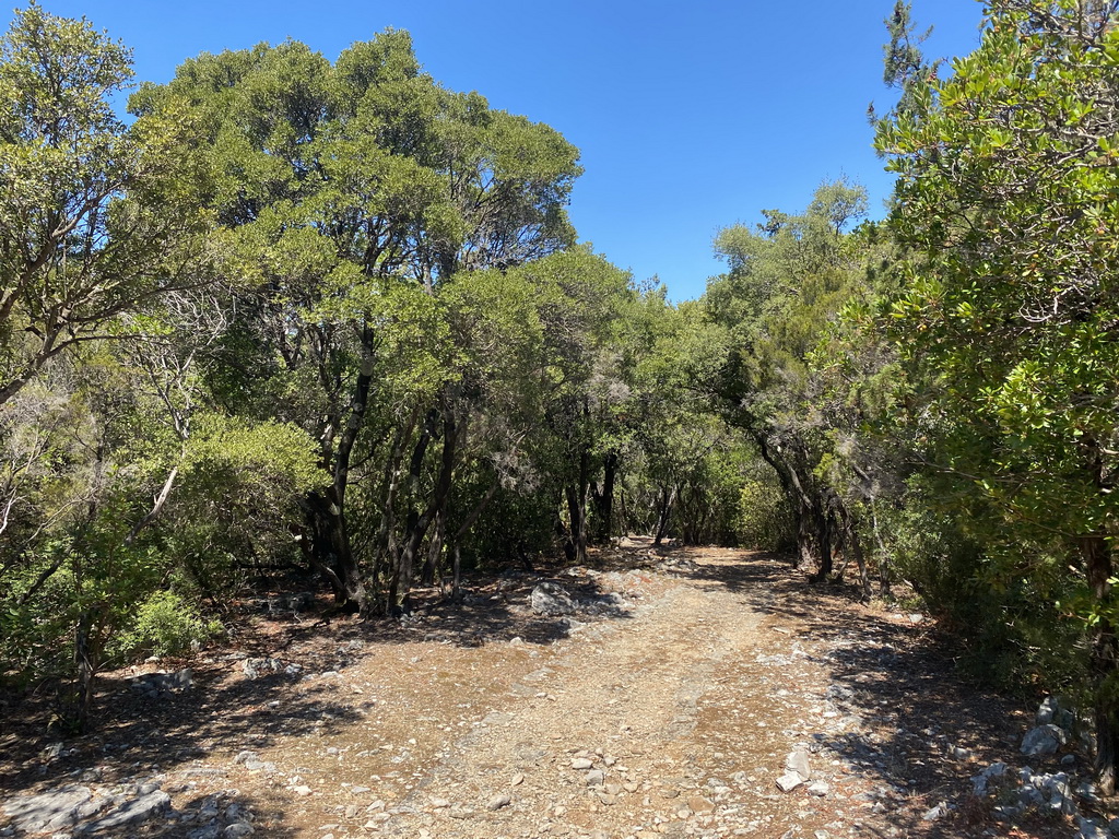 Path at the southeast side of the island