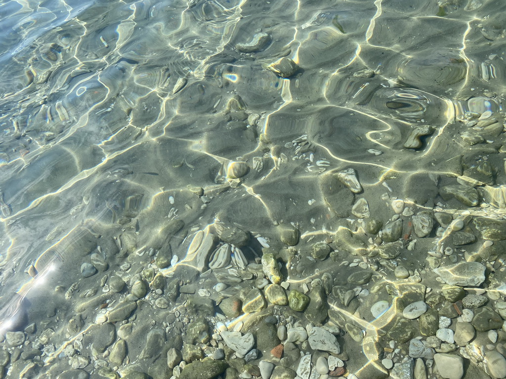 Fishes at the Plaa Grand beach