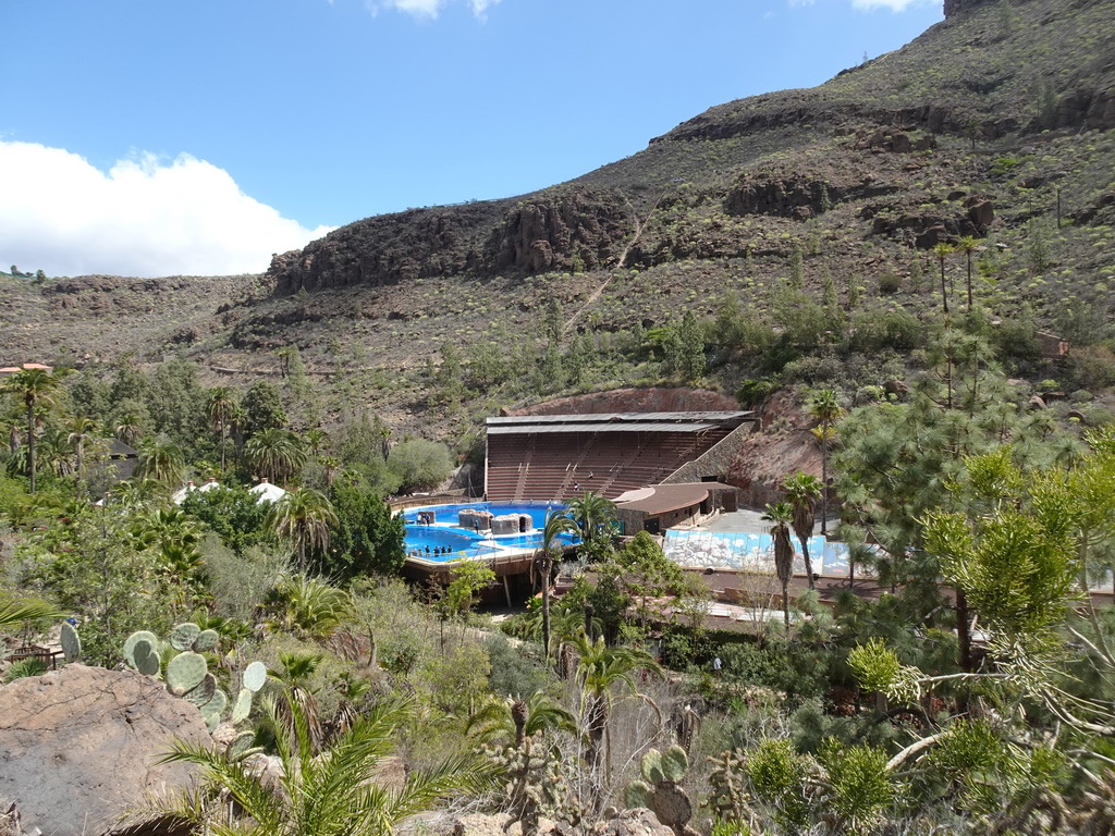 The Dolphinarium at the Palmitos Park, viewed from the Cactus Garden