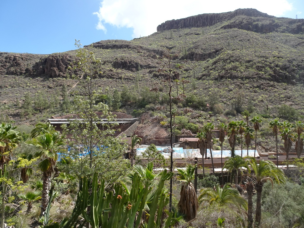 The Dolphinarium at the Palmitos Park, viewed from the path from the Cactus Garden to the La Palapa Restaurant