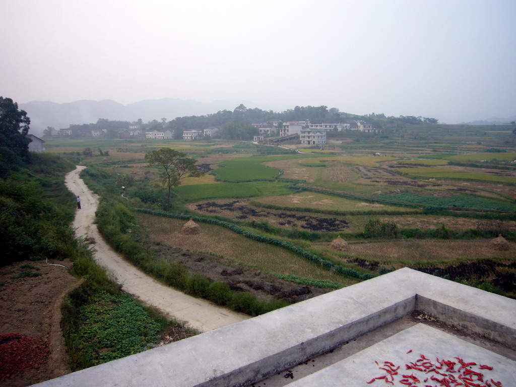 View from the roof of Miaomiao`s grandparents` house