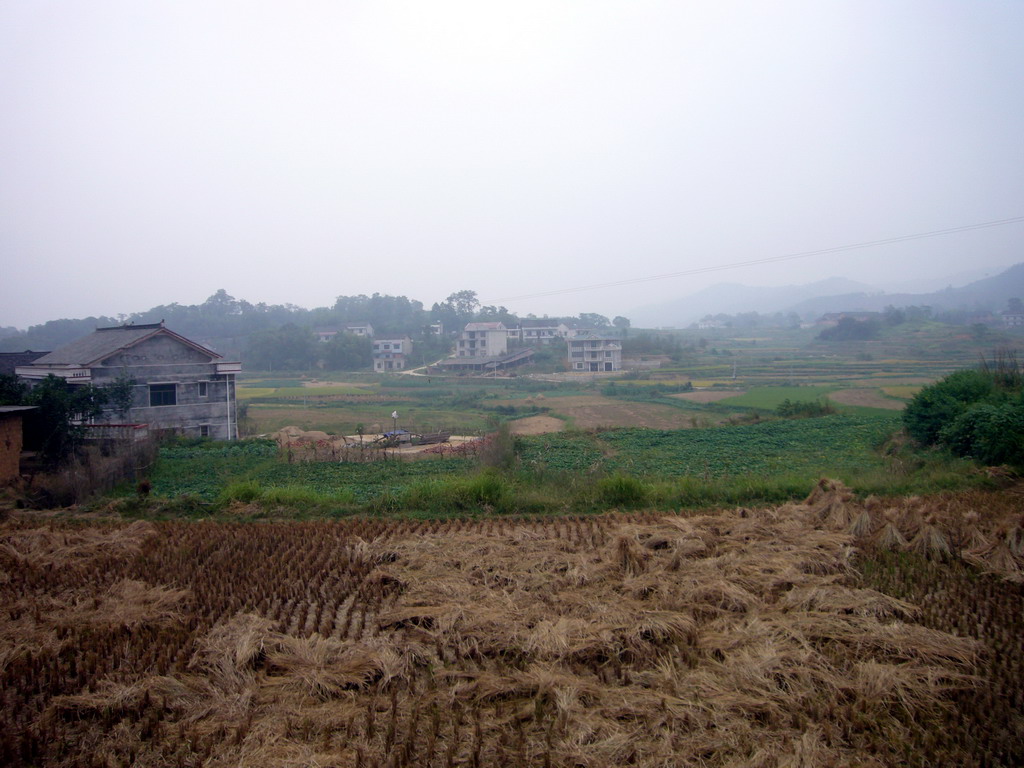 Fields in Miaomiao`s grandparents` village