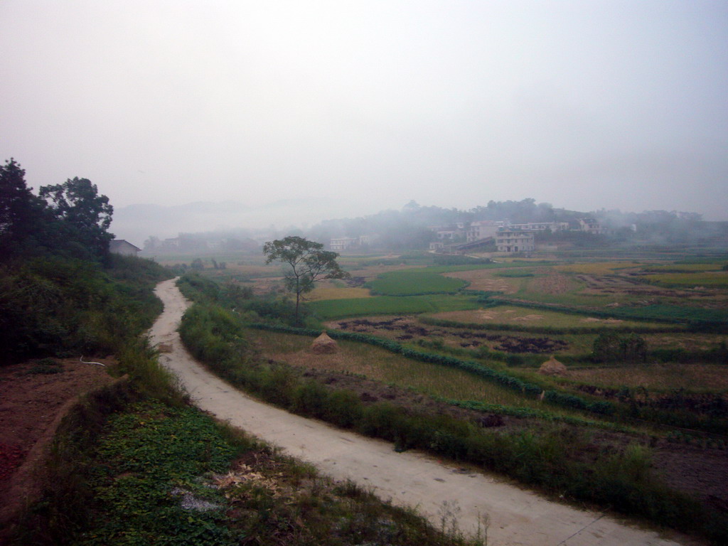 View from the roof of Miaomiao`s grandparents` house