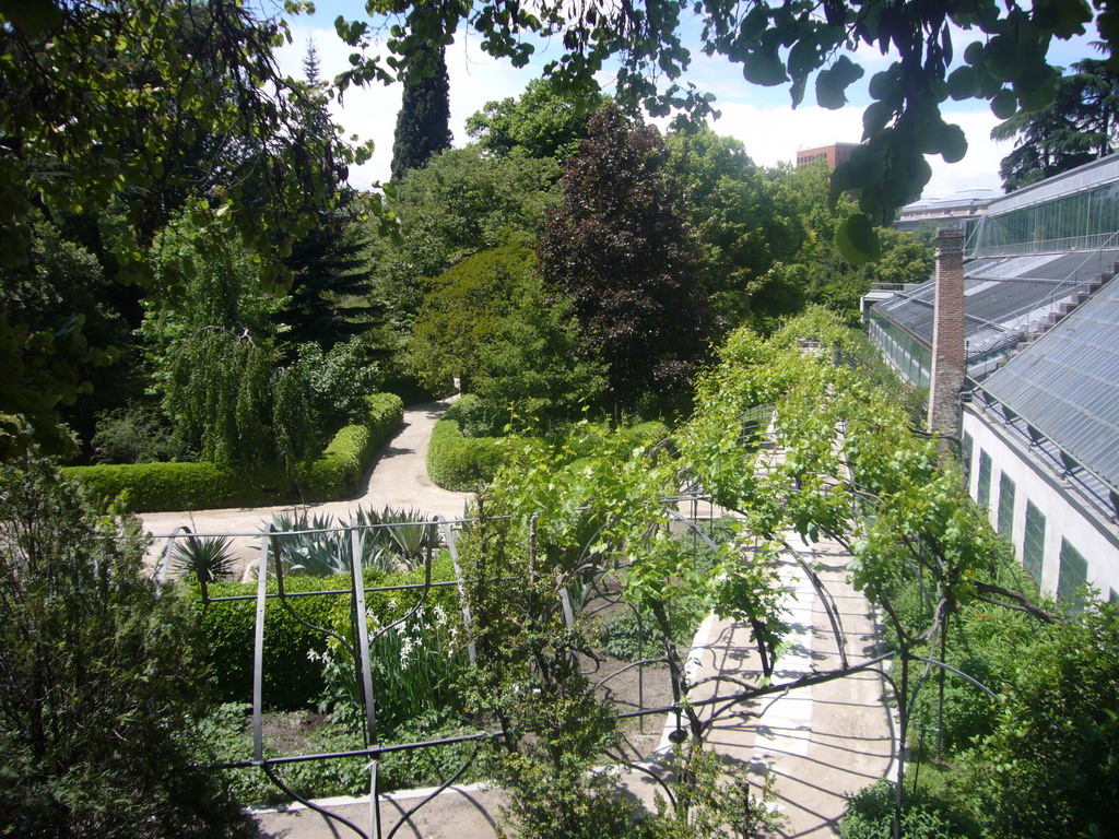 The Royal Botanical Garden