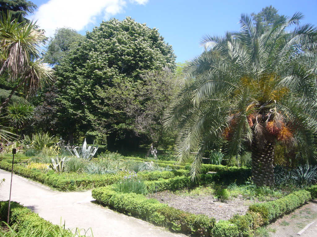 The Royal Botanical Garden