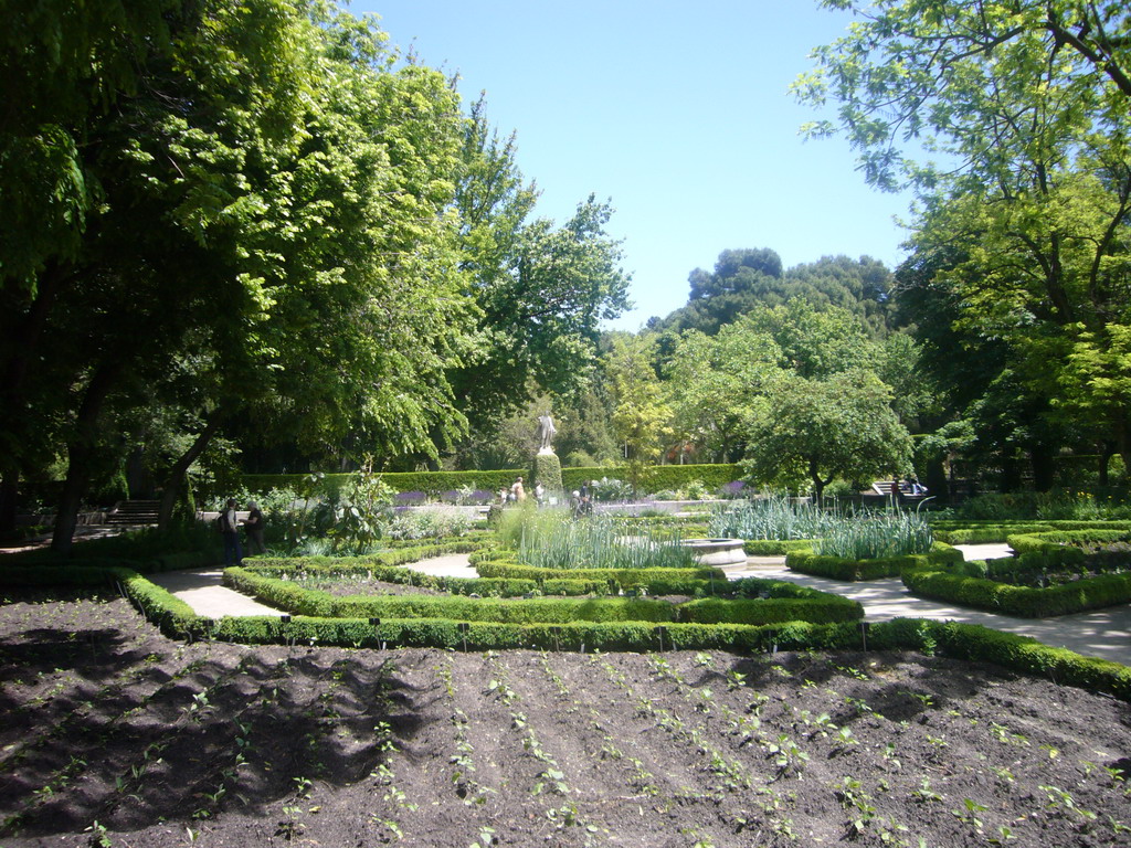 The Royal Botanical Garden