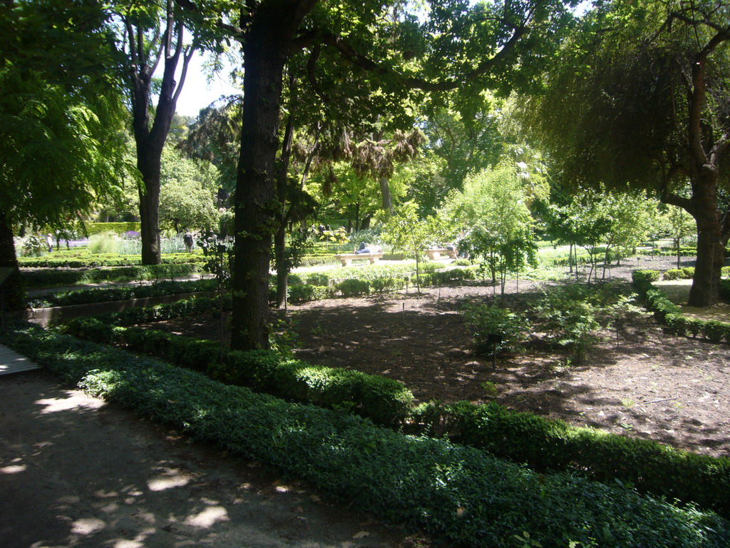 The Royal Botanical Garden