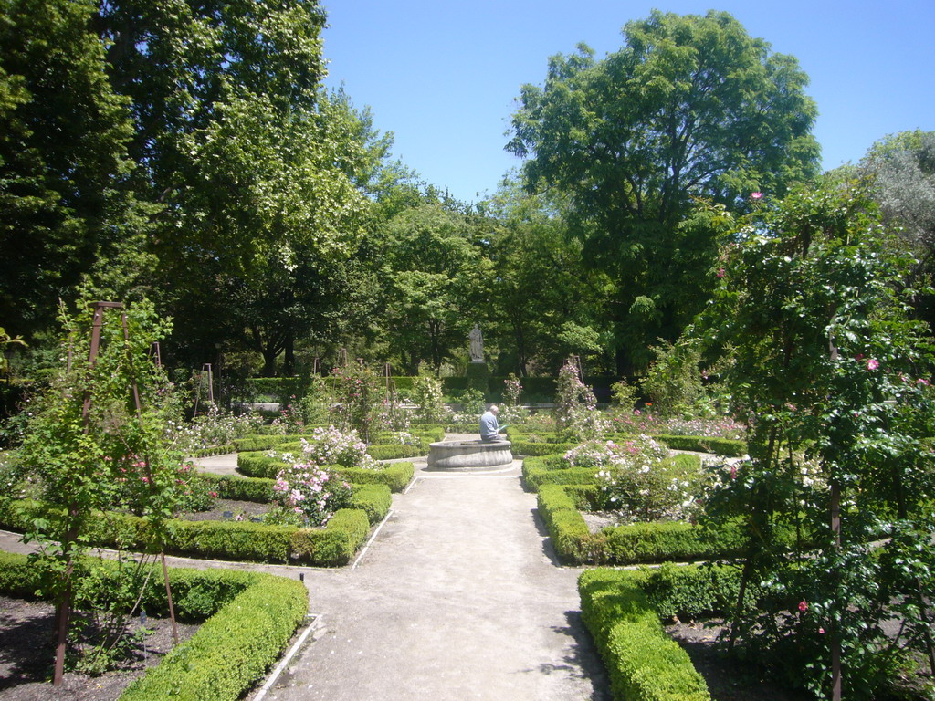 The Royal Botanical Garden