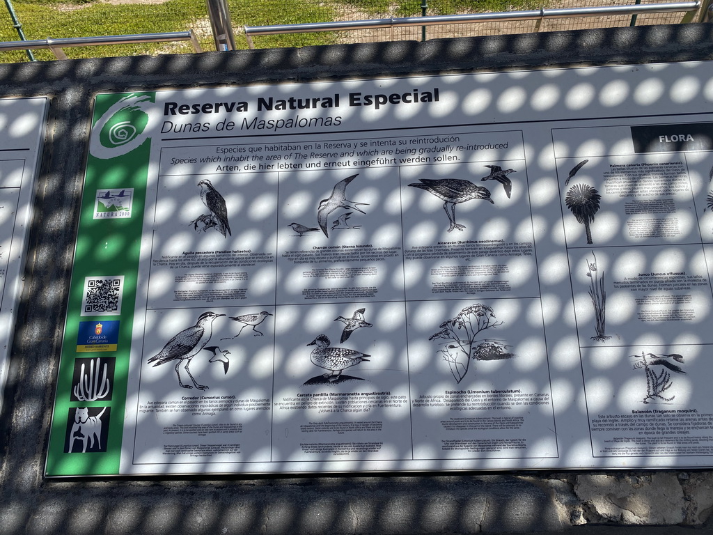 Information on animal and plant species at the Maspalomas Dunes, at the Calle Oceanía street