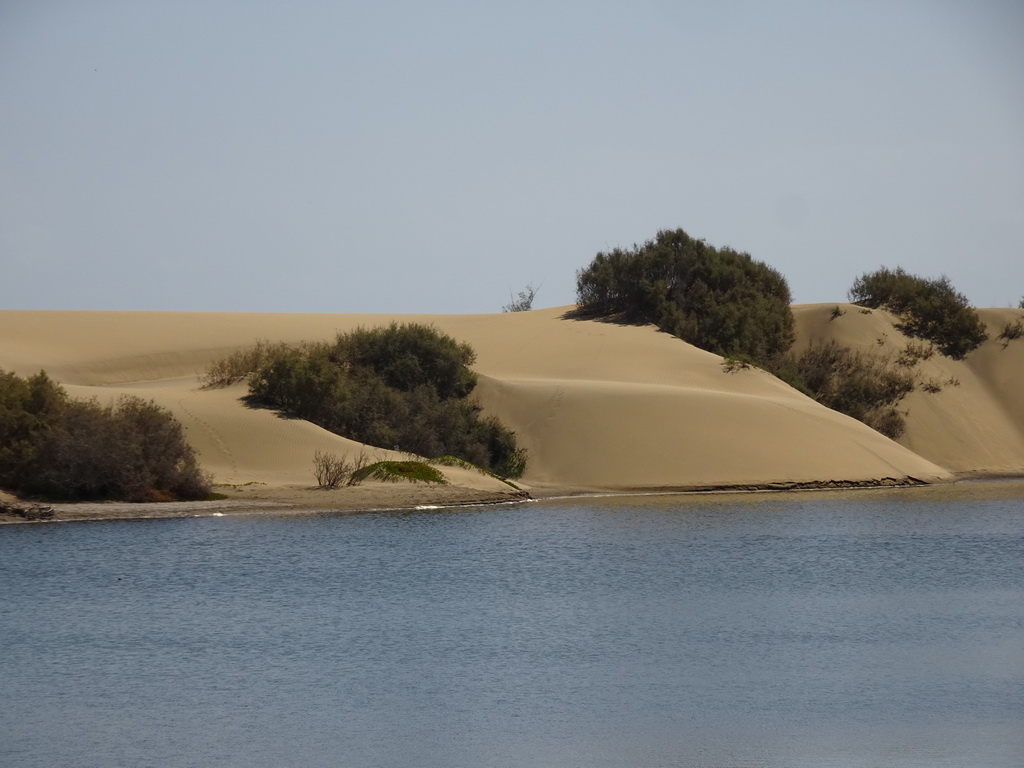 The Charca de Maspalomas lake and the Maspalomas Dunes, viewed from the Calle Oceanía street