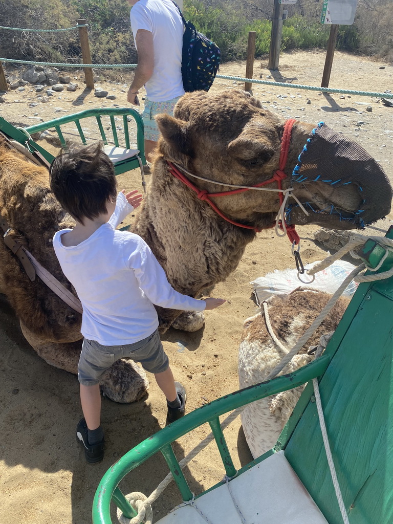 Max petting his Dromedary at the ending point of the Camel Safari