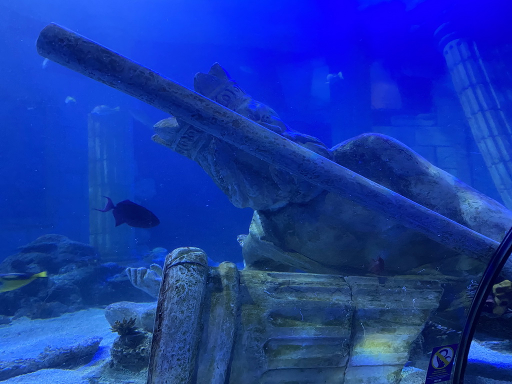 Fishes and statue at the underwater tunnel at the Sea Life Porto