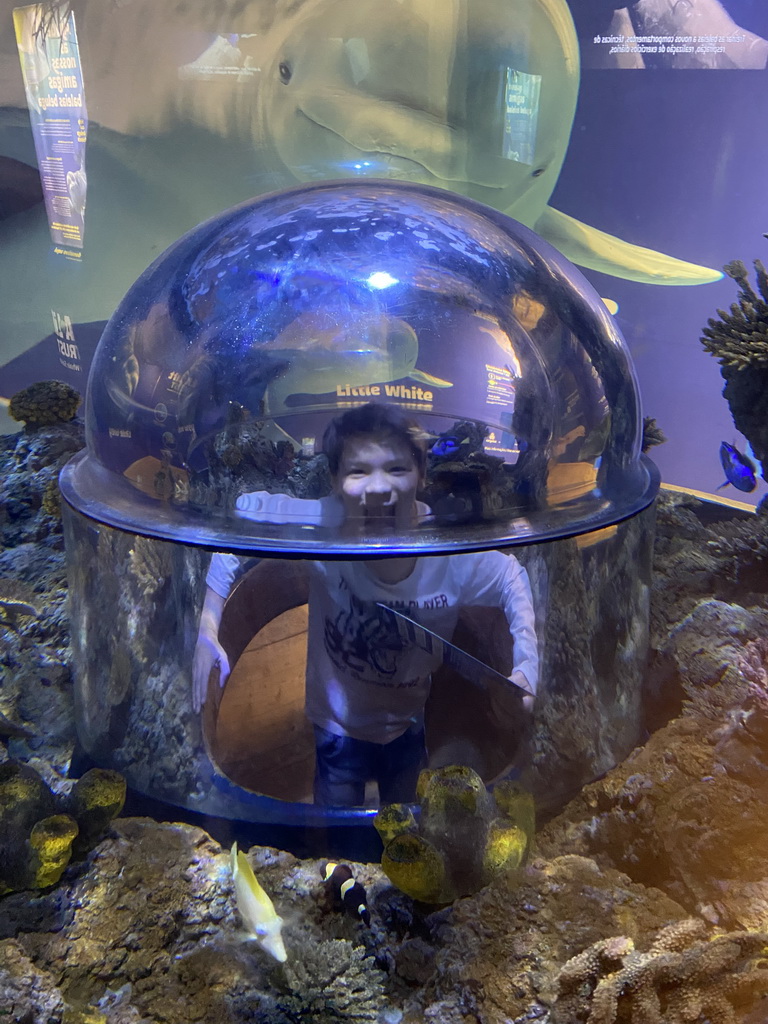 Max in an underwater tunnel and fishes at the Sea Life Porto