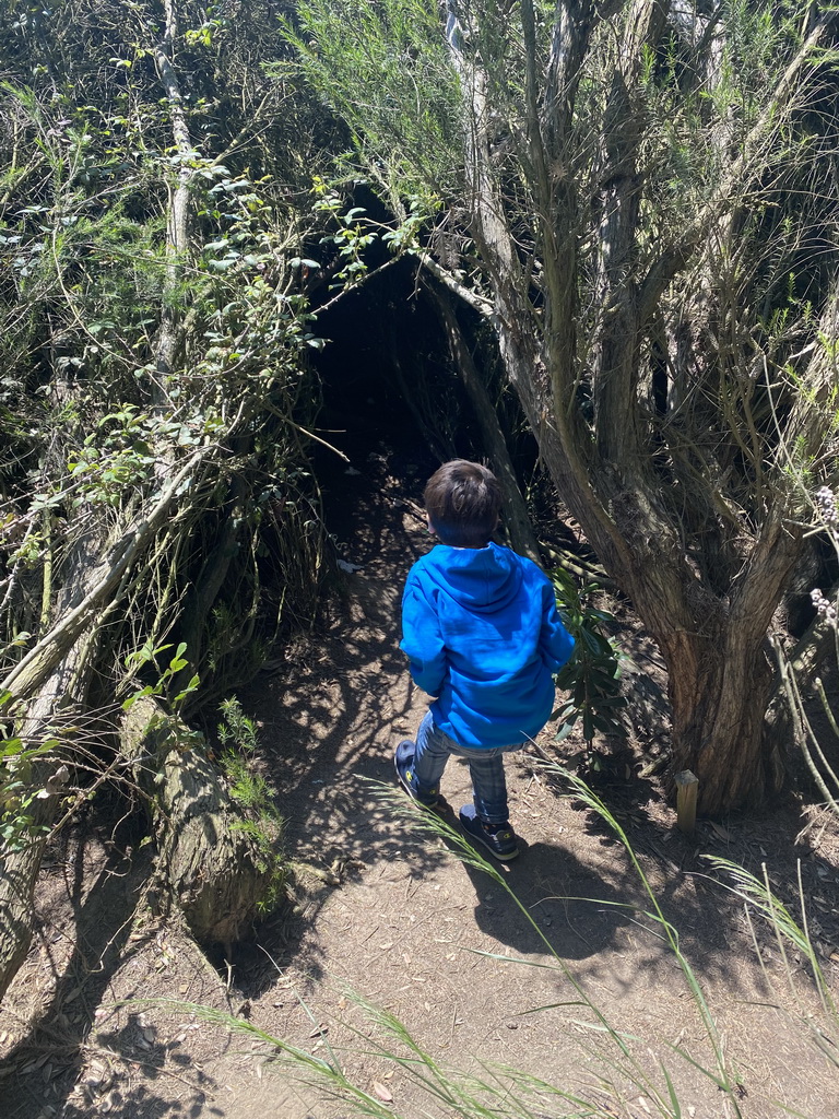 Max at the Parque da Cidade do Porto park