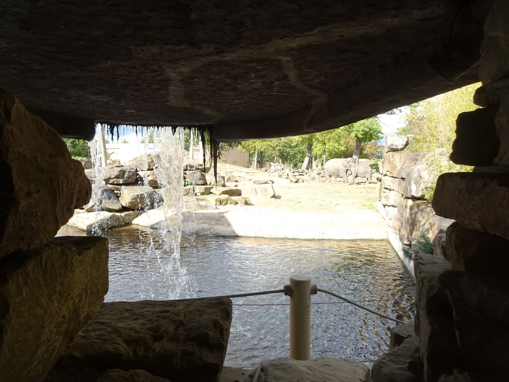 Waterfall and Asian Elephants at the Asia section of ZOO Planckendael