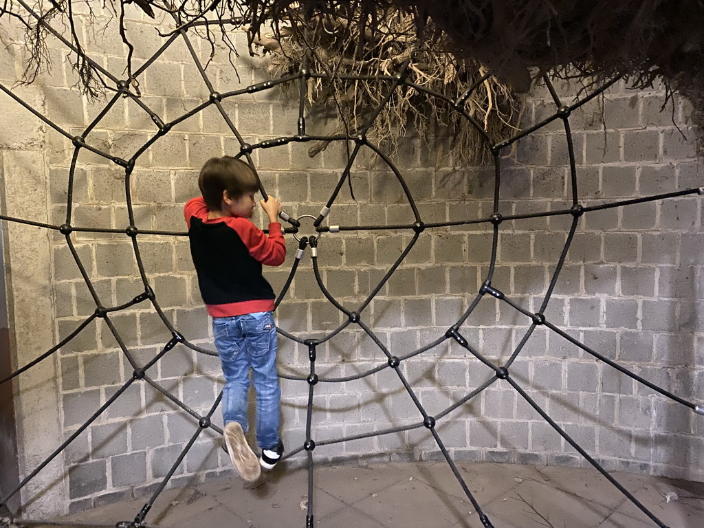 Max on a climbing at the tunnel to the Treetop Walkway at the Asia section of ZOO Planckendael