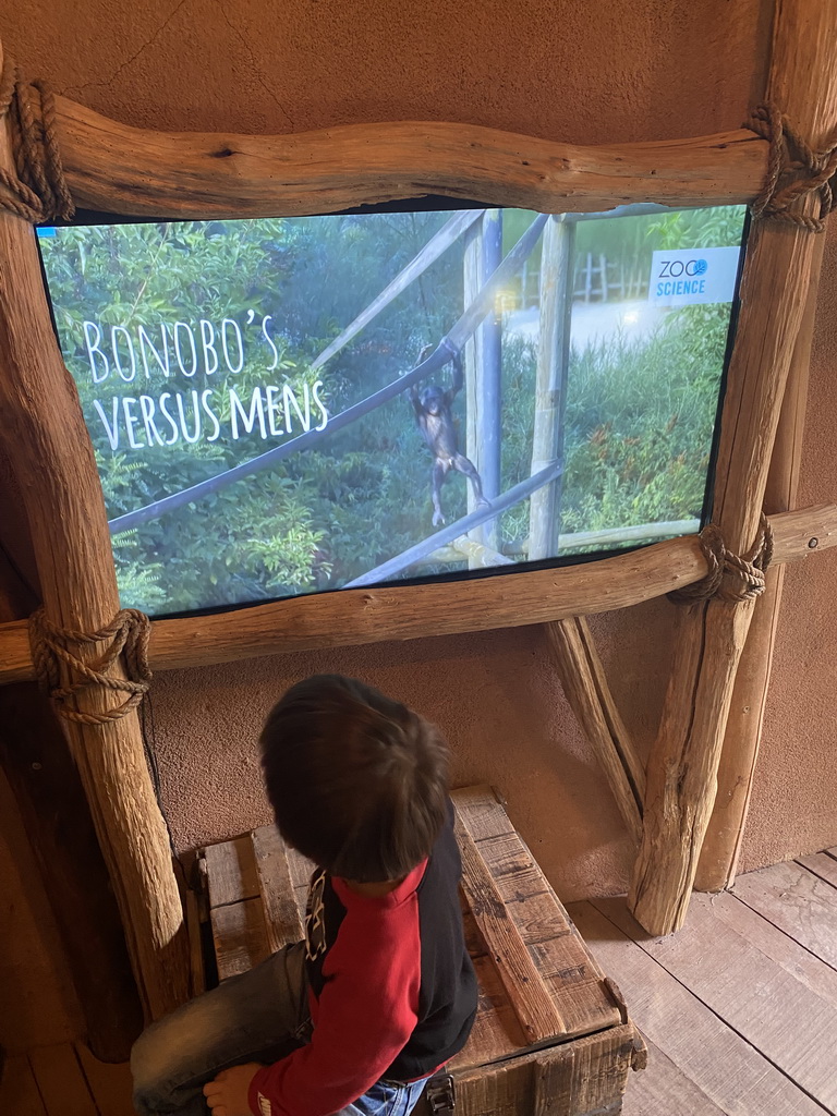 Max watching a movie about Bonobos at the Bonobo building at the Africa section of ZOO Planckendael