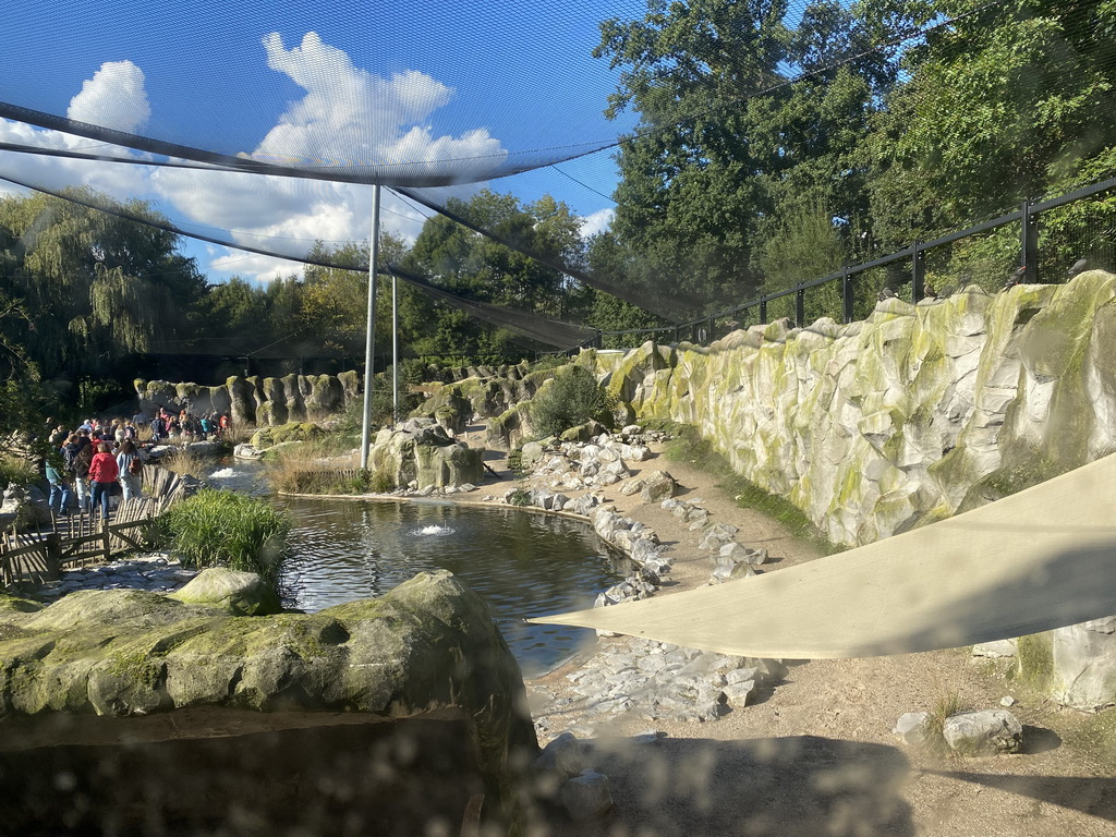 Interior of the Humboldt Penguin enclosure at the America section of ZOO Planckendael