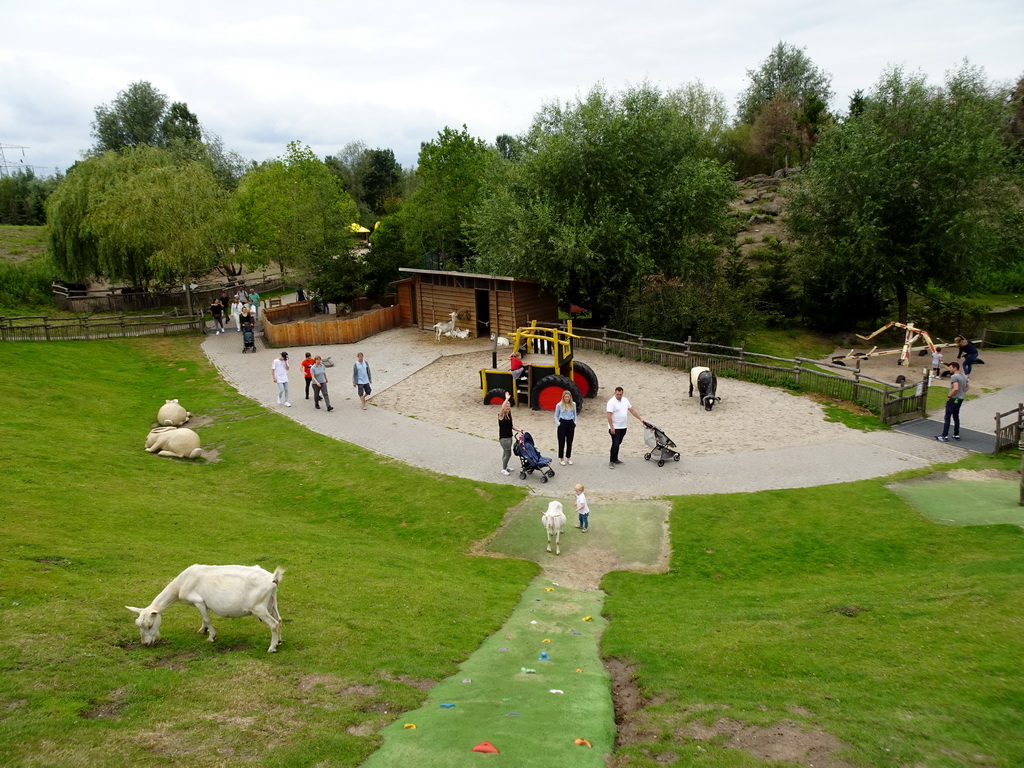 Dutch White Goats at the Dierenrijk zoo