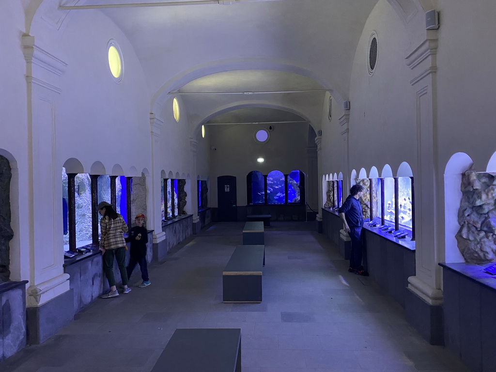 Interior of the Acquario di Napoli aquarium