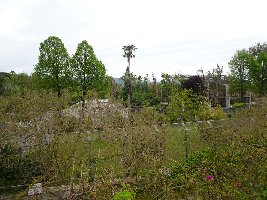 Tiger enclosure at the Zoo di Napoli, viewed from the upper area