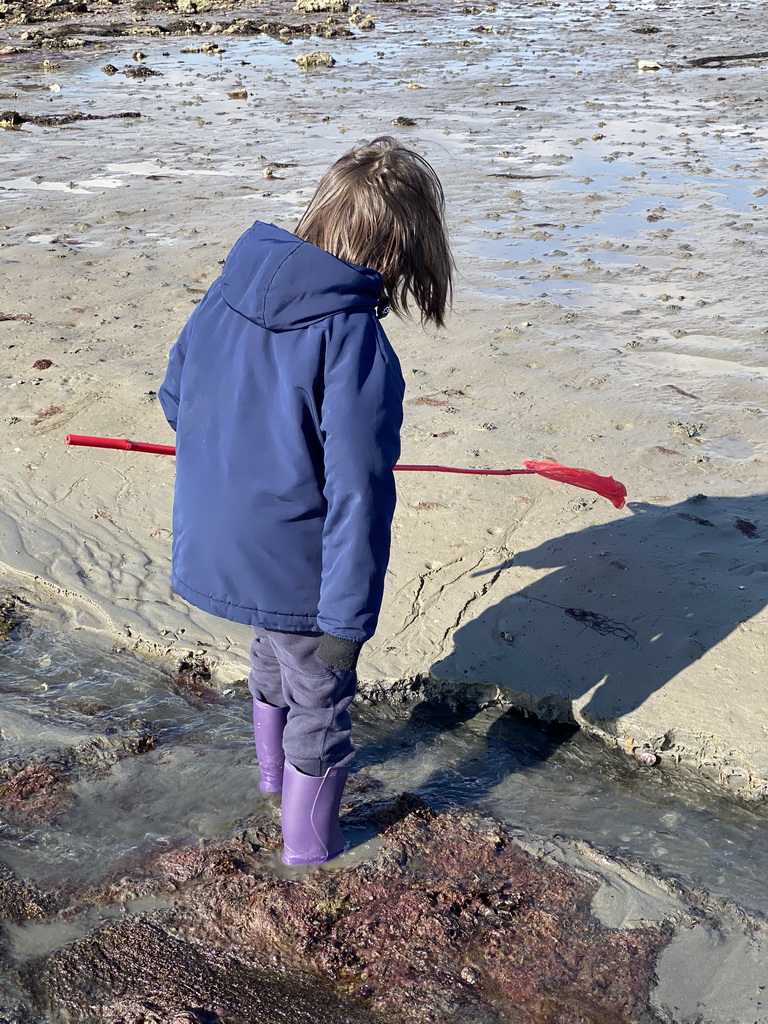 Max looking for seashells at the Viane Beach