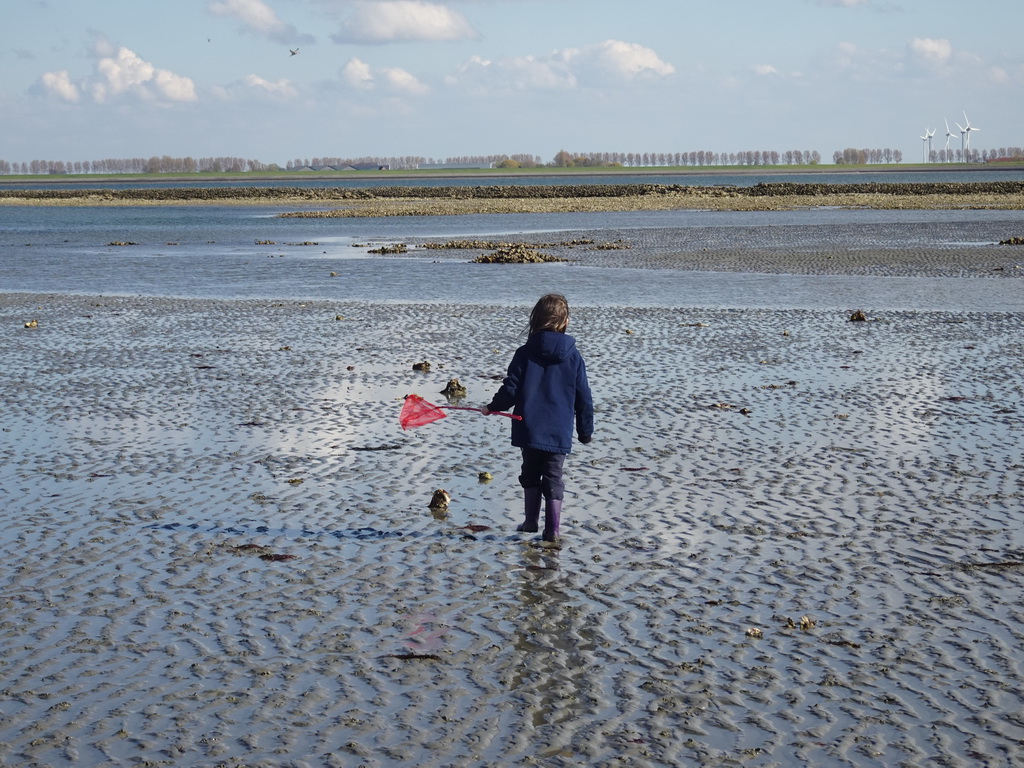 Max looking for seashells at the Viane Beach