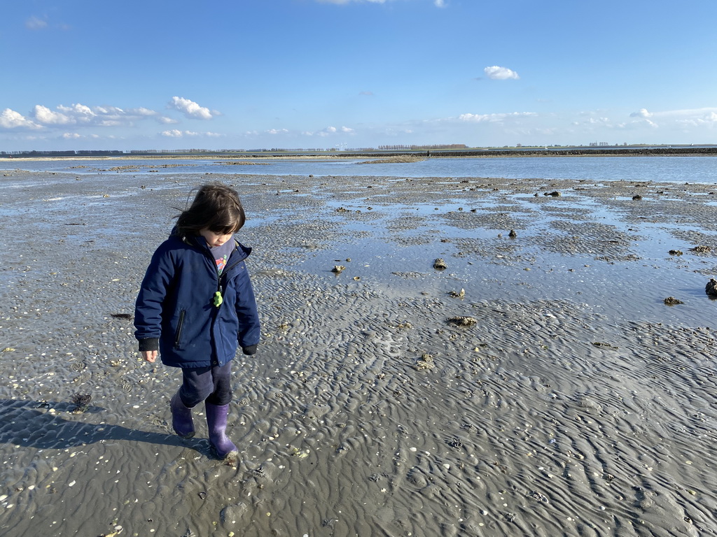 Max looking for seashells at the Viane Beach