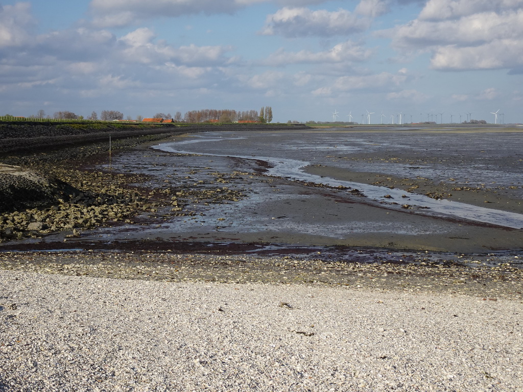 The east side of the Viane Beach