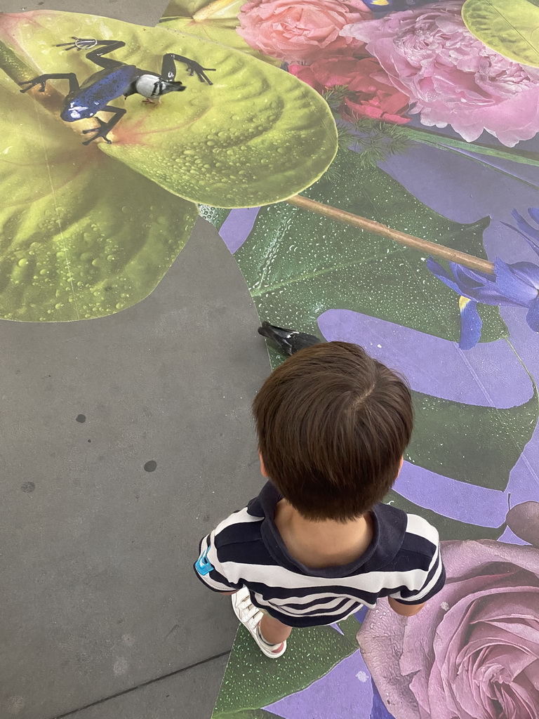 Max chasing pigeons on a painted floor at the Westfield Forum des Halles shopping mall