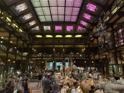 Interior of the first floor of the Grande Galerie de l`Évolution museum