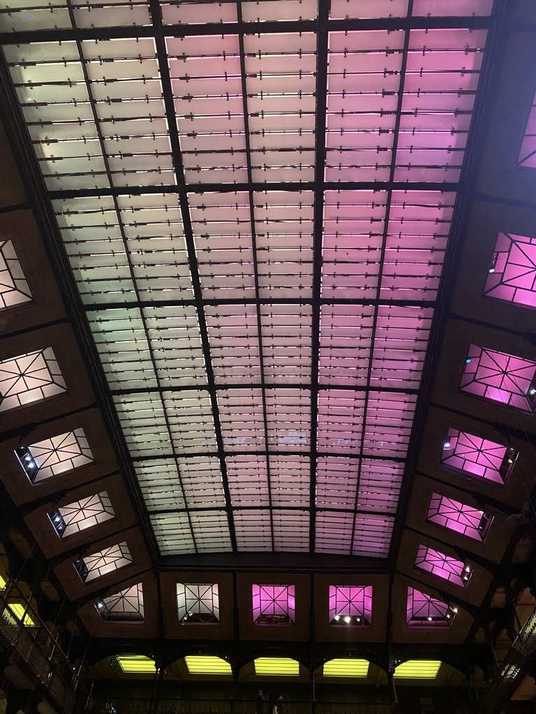 Ceiling of the Grande Galerie de l`Évolution museum, viewed from the first floor