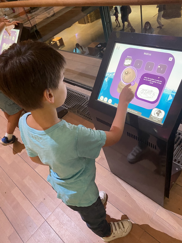 Max playing a Walrus game at the first floor of the Grande Galerie de l`Évolution museum