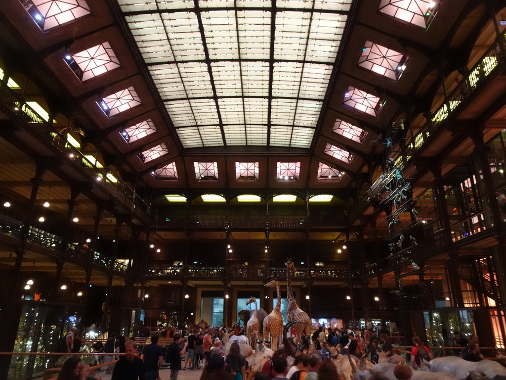 Interior of the first floor of the Grande Galerie de l`Évolution museum