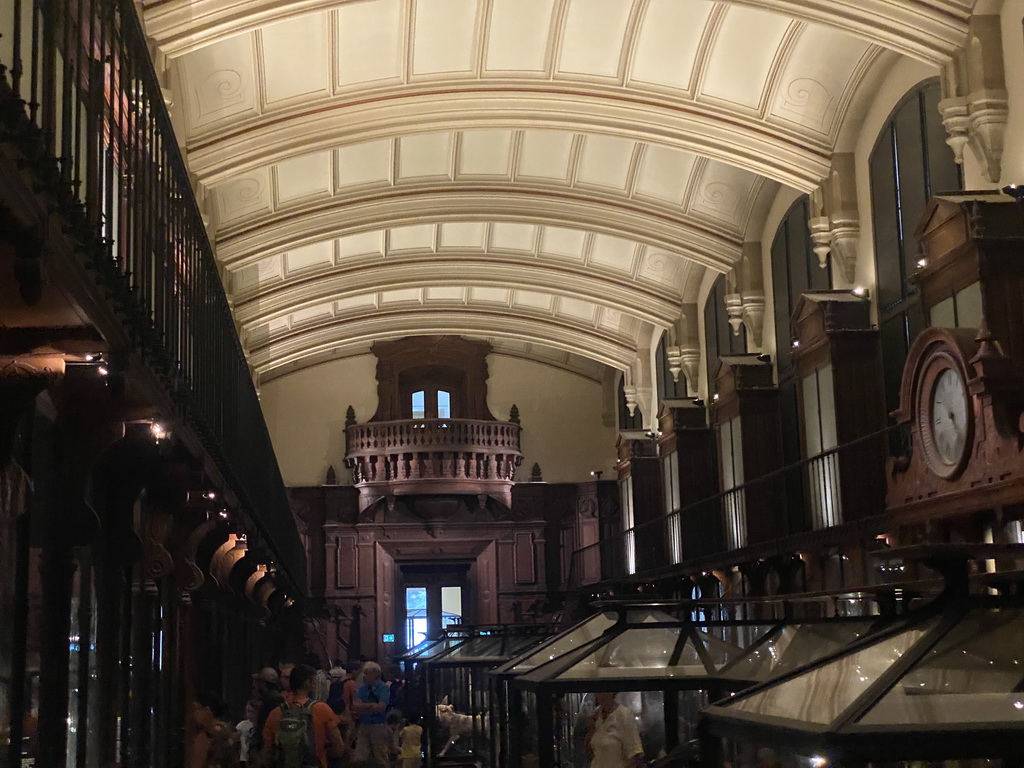 Interior of the Hall of Endangered Species at the second floor of the Grande Galerie de l`Évolution museum