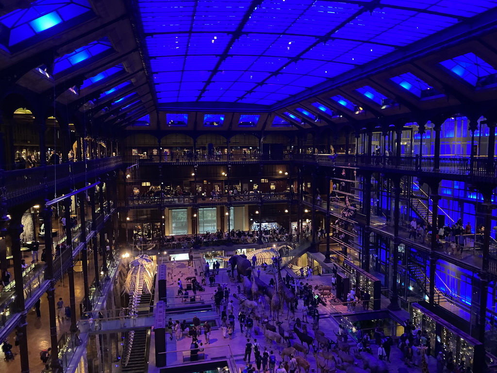 Interior of the first floor of the Grande Galerie de l`Évolution museum, viewed from the third floor