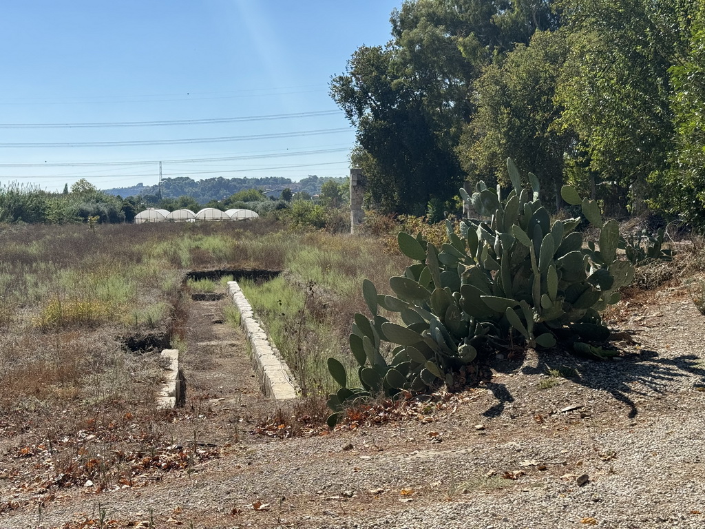 Cactuses and greenhouses at the southeast side of the Ancient City of Perge