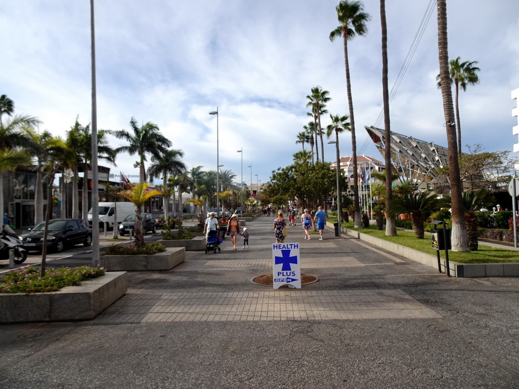 The Avenida Rafael Puig Lluvina street