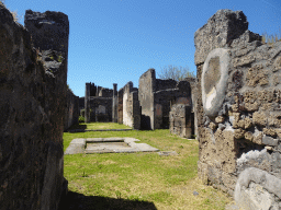 Walls and columns at the House of Adonis wounded at the Pompeii Archeological Site, viewed from the Via di Mercurio street