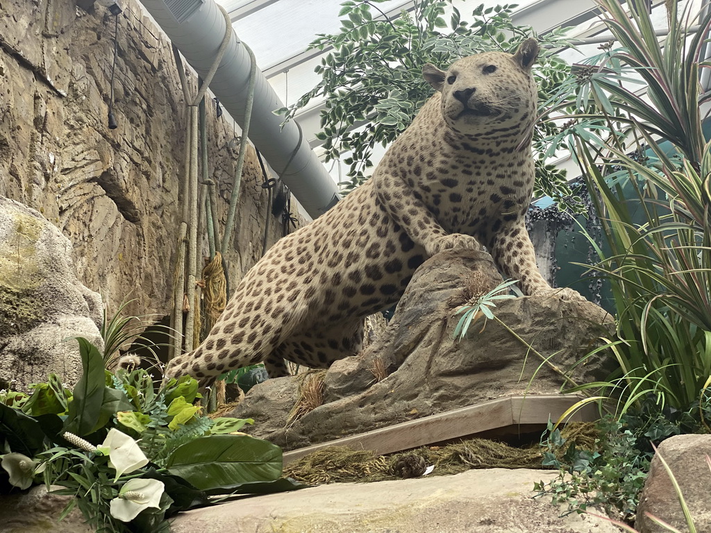 Leopard statue at the Equatorial Forests section of the boat ride at the World of Discoveries museum