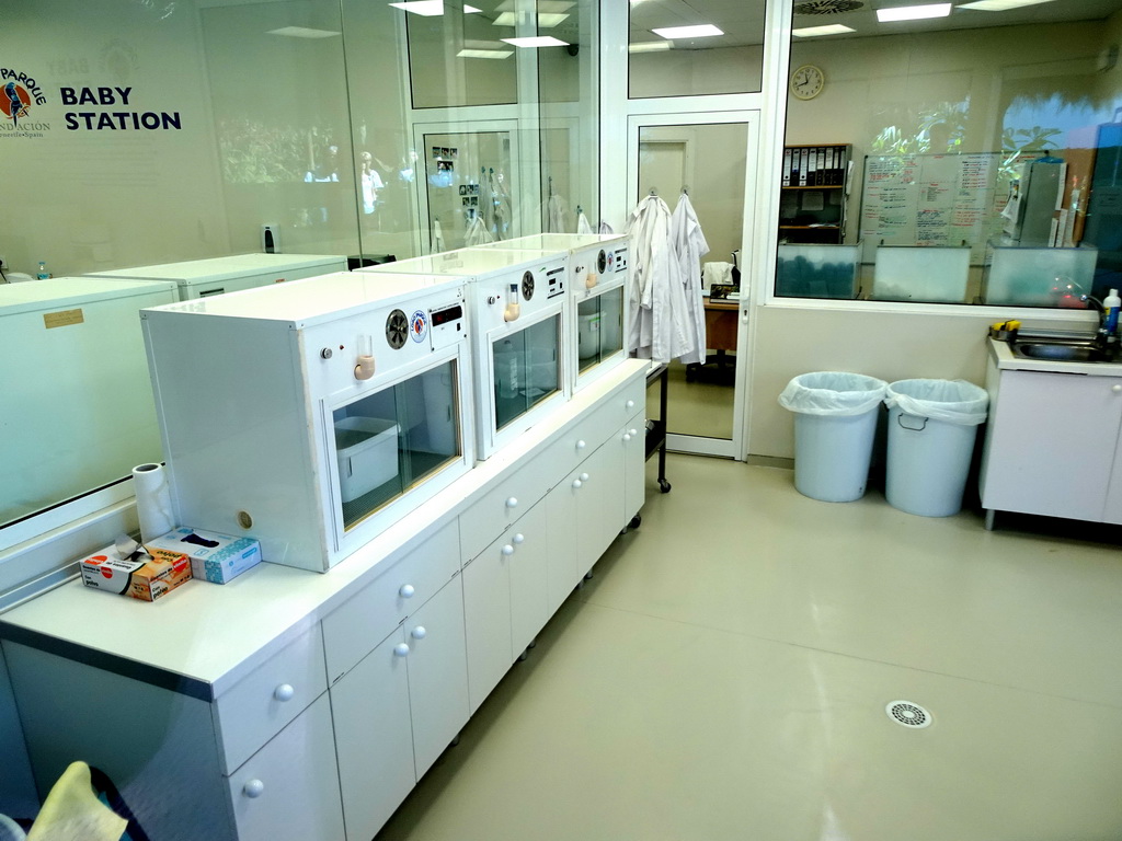 Interior of the Baby Station at the Animal Embassy at the Loro Parque zoo, during the Discovery Tour