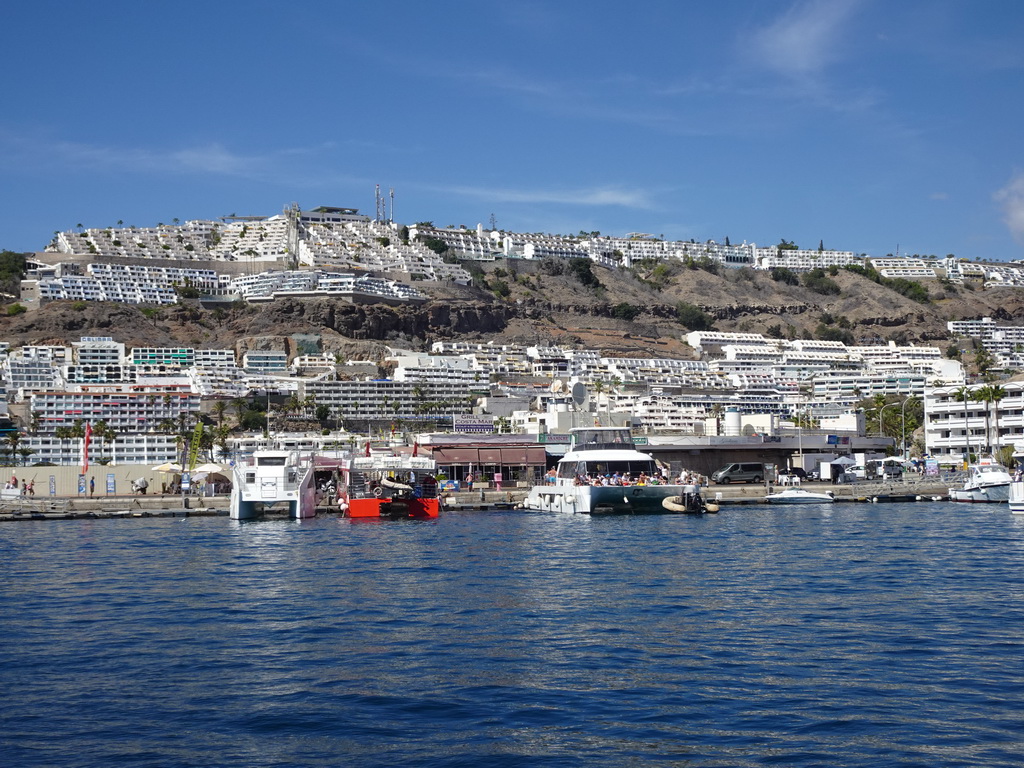 The harbour, viewed from the Sagitarius Cat boat