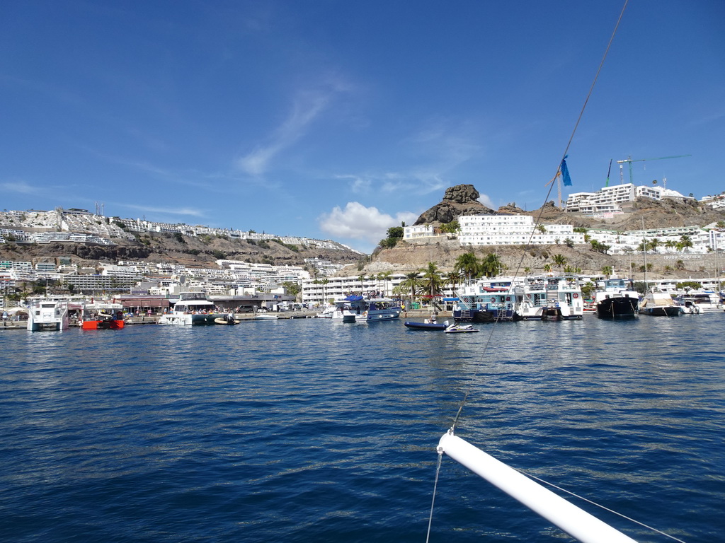 The harbour, viewed from the Sagitarius Cat boat