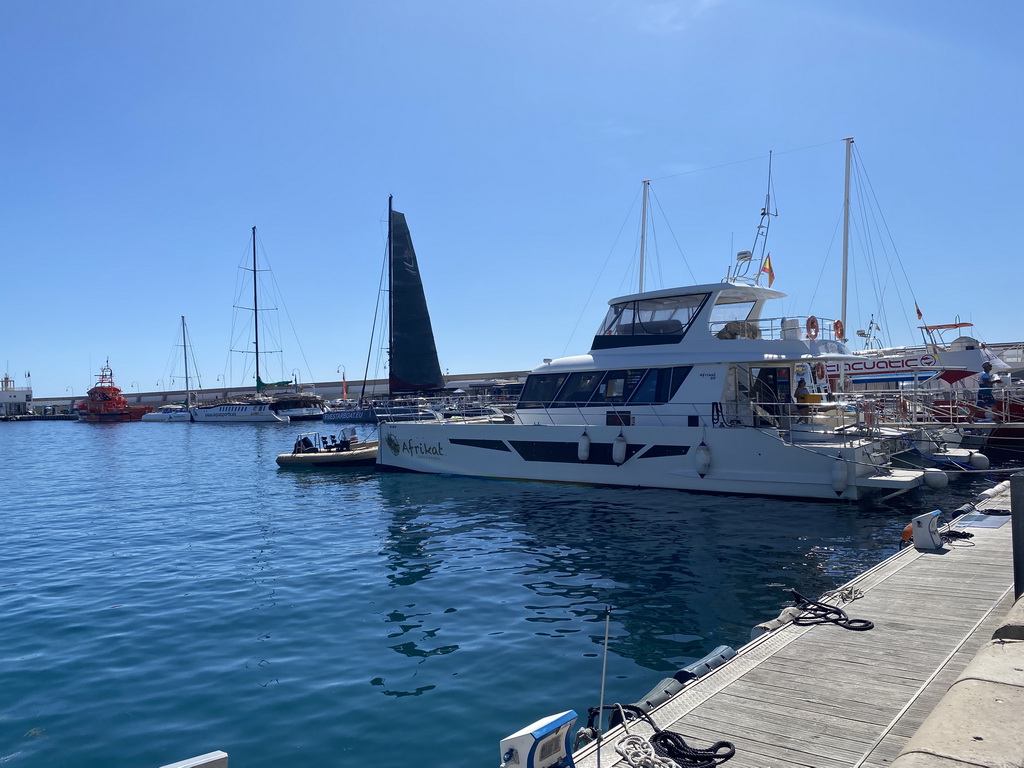 Boats in the harbour