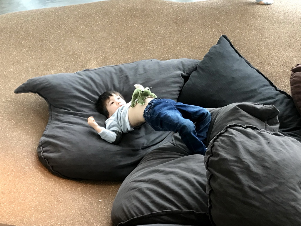 Max with a frog toy in pillows at the Visitor Center Veluwezoom