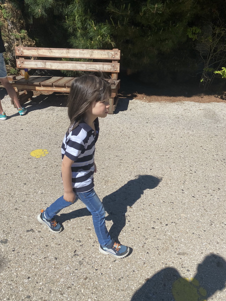 Max at the Diergaarde Blijdorp zoo