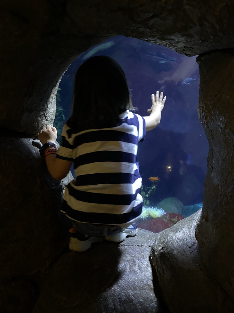 Max looking at fishes at the Oceanium at the Diergaarde Blijdorp zoo