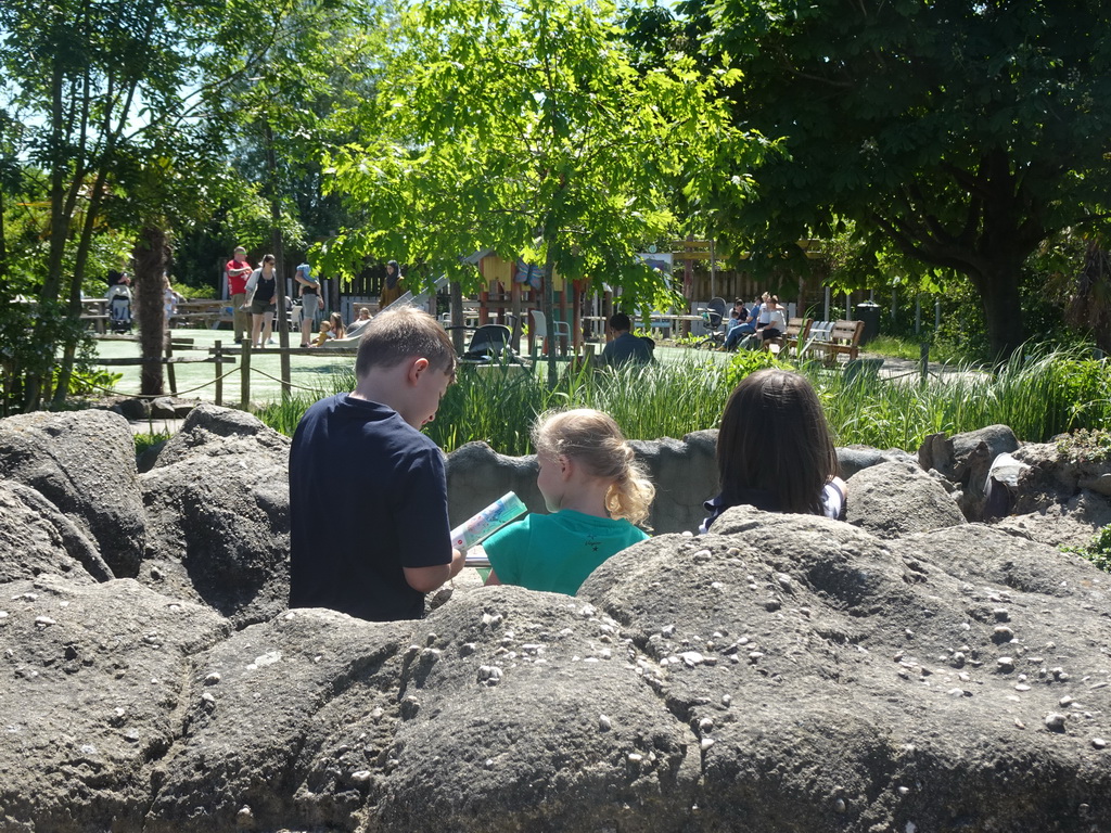 Max looking at Prairie Dogs at the North America area at the Diergaarde Blijdorp zoo