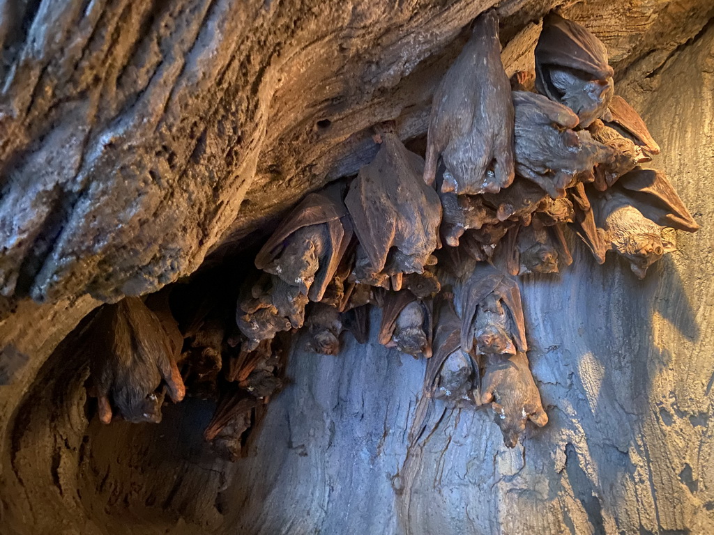 Bat statues in the Tree of Life at the Africa area at the Diergaarde Blijdorp zoo